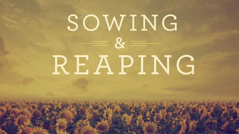 Sowing & Reaping
